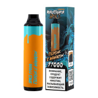 Одноразовая электронная сигарета Monstervapor Space 11000 - Персик с ананасом Одноразовая электронная сигарета Monstervapor Space 11000 - Персик с ананасом